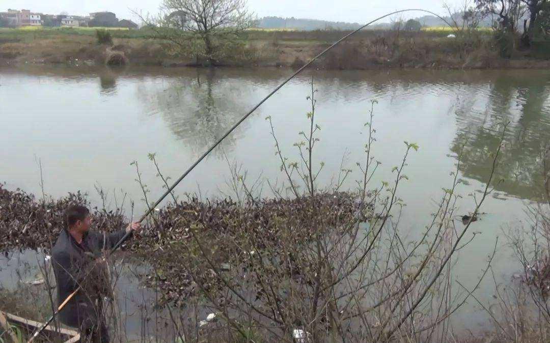 冬钓调漂这么做,漂相清晰、误差小,近视也不影响我们抓口