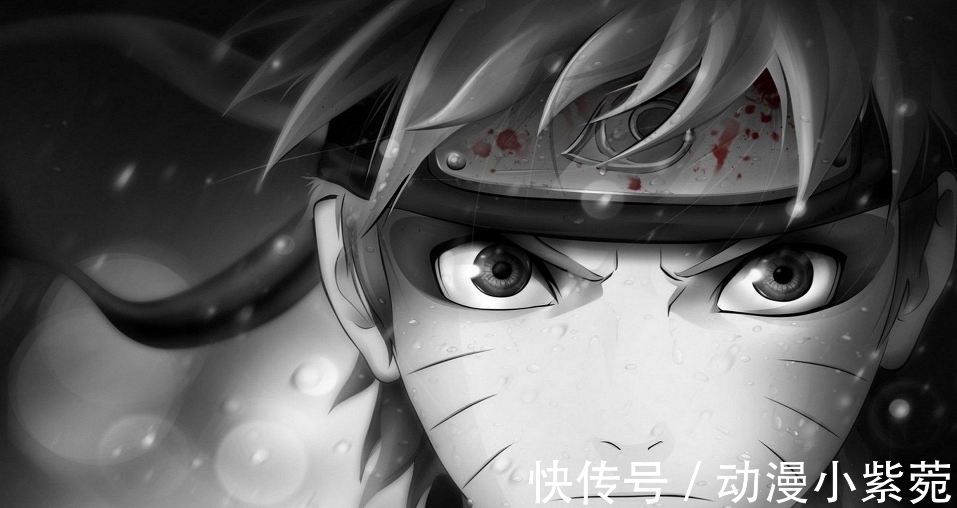 日本动漫|鸣人仅排第八!「盘点」有史以来最受欢迎的10个日漫角色