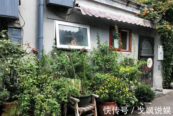 黄豆|用啥水浇花长得快、开花多、虫害少3个妙招,省时省钱又省力