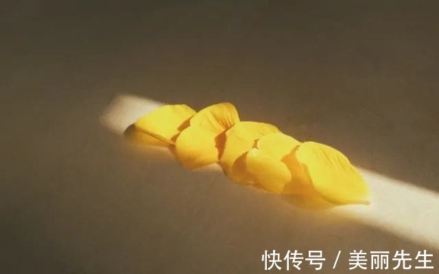 美景$春意繁盛,愿你不负美景良辰,不负岁月情深