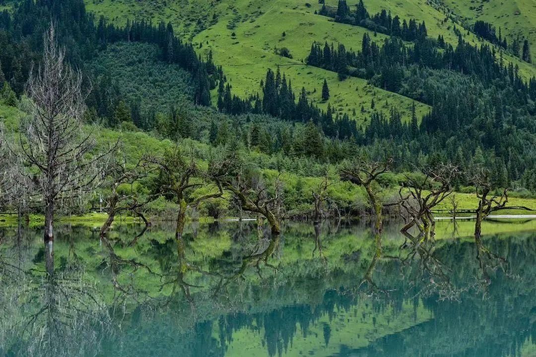 双桥沟|四姑娘山，给你一整个夏天的温柔