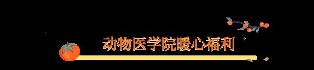 青岛农大|最强花式应援来了！这是属于青岛农大考研学子的专属温暖