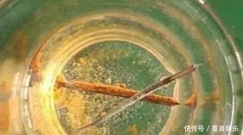 比“雨水”浇花还好,这种水家家有,浇花不用施肥,百利无一害