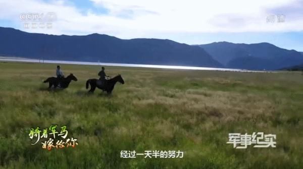 新疆|带着婚纱骑着马，跨越3600公里，我来新疆找你结婚！