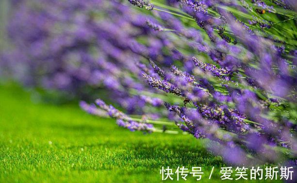 你的生活|近期内,土星逆行,恍如初见,爱情已逝去,牵手复合,再创新辉煌