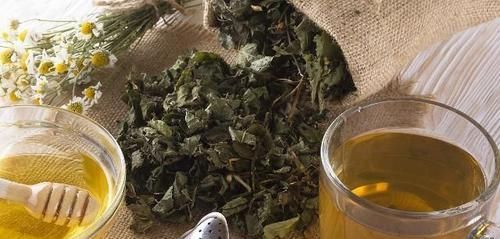  老中医|老中医献方：一味草药，放在嘴里嚼一嚼，暖心暖胃暖脾暖肾暖全身