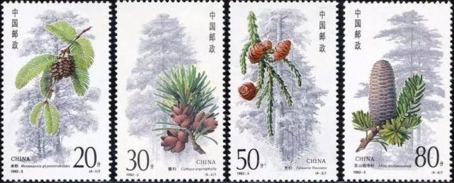 影响世界的中国植物!中国植物画第一人,让世界看到中国植物之美!