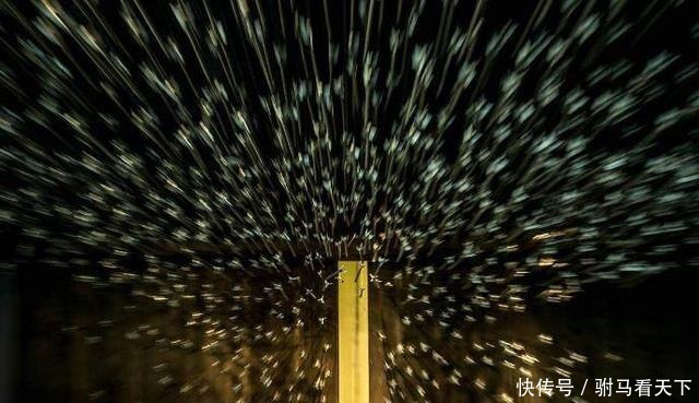 将东方六国|二十二岁亲政的嬴政为何能统一六国，出土的远程武器，揭开了谜底