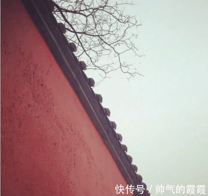 孟子|儒释道精选10句 修身, 养心, 知命