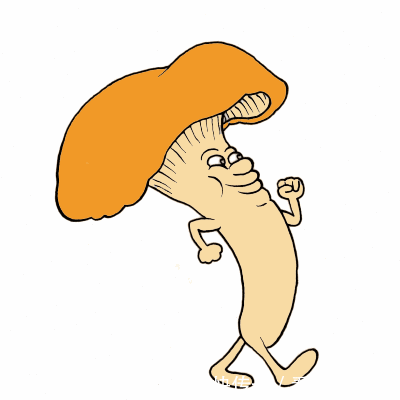 做法|3道日式丼饭,做法简单,学会了给家人做,保证全家人开心下饭!