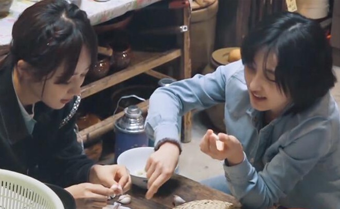 杨紫|张子枫觉得杨紫很适合《向往5》,直接打电话给她，杨紫回复超搞笑