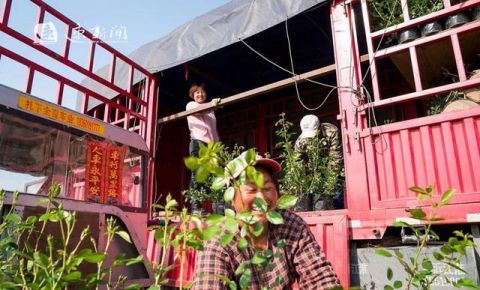 电商|物流提速增效 电商提前备货 沭阳：政企总动员迎战“双十一”