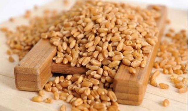 钓鱼|自制一款经济实用的小麦诱饵,会用的钓鱼人不多