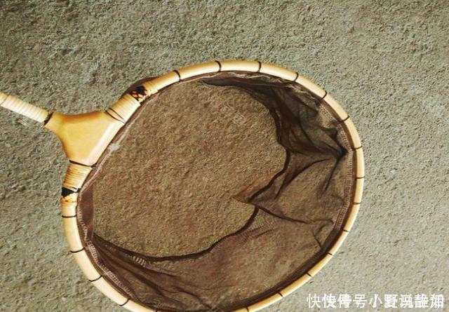 农村小伙用废旧物品,改钓具钓鱼,渔具店老板佩服得五体投地