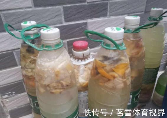 花卉|花土板结怎么办？不换盆土，学会这几招照样能搞定难题