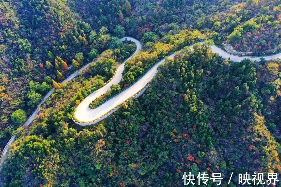 桃花寨景区|免票！持续一个月！秋叶落满山，遇见最美的桃花寨