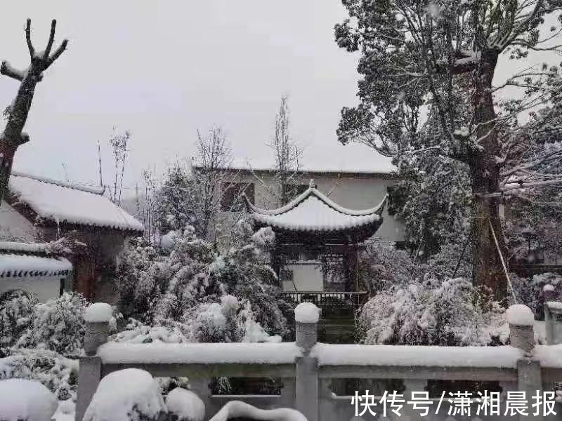 李蕾|组图｜雨花雪景还没赏够？看这里！惊艳nice“绝绝子”