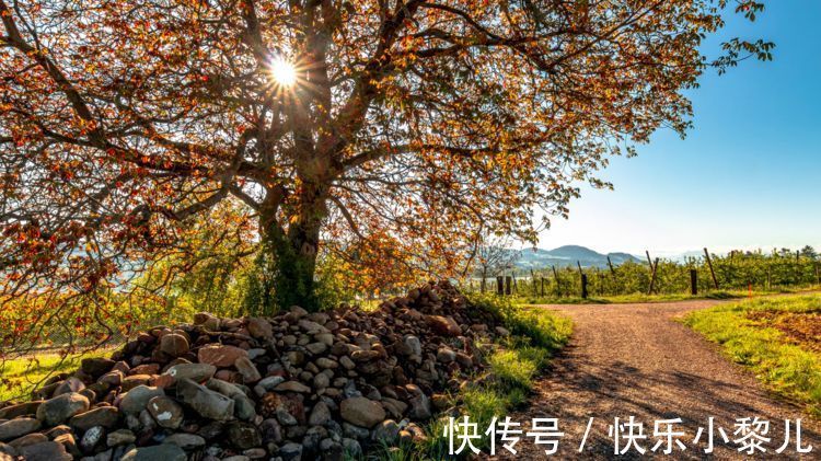 正直感|城府很深,为人却正直的星座,他们喜欢孤独,哪怕生活里没有朋友