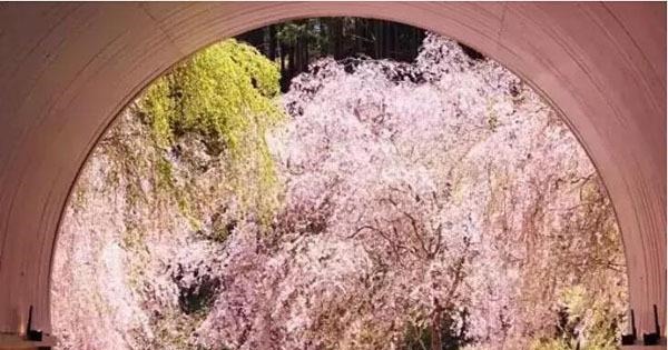 这家|千年文物被盗,14年后现身日本,为何这家美术馆十年后才肯归还