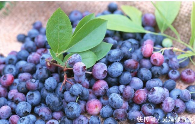 45岁后,6种食物最好多吃些,抗衰老清血管还显年轻,赶紧收藏