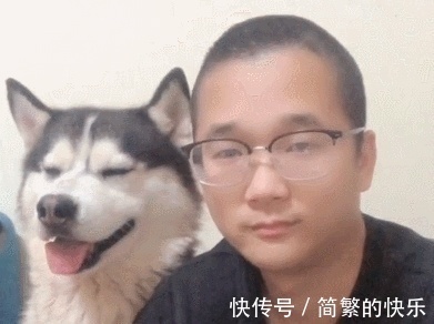 |搞笑有趣的图片搭配神评论:论找个会拍照的男朋友重要性