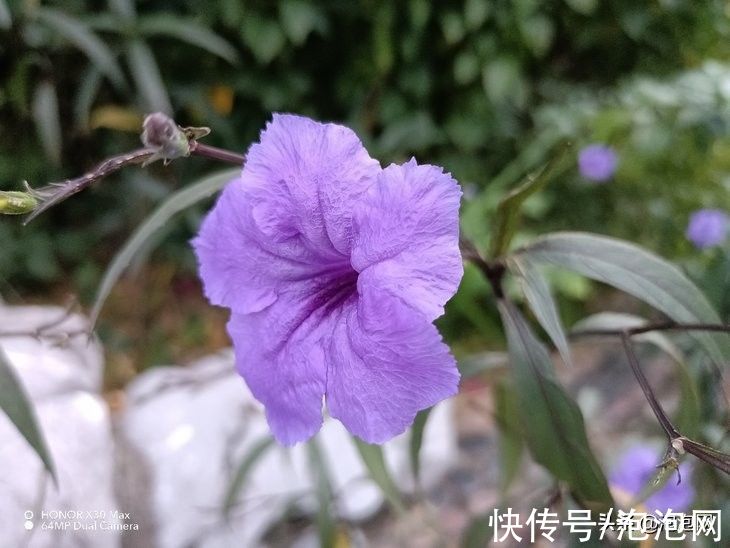 续航|荣耀X30 Max评测：畅快的大屏长续航5G手机