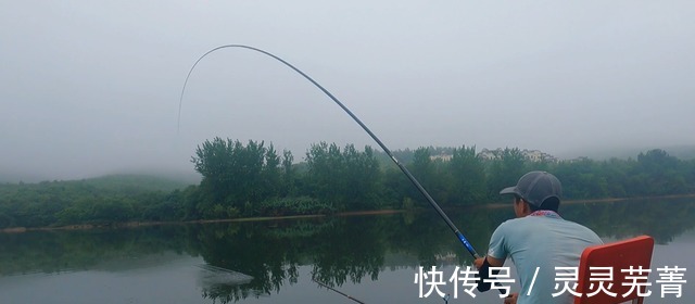 男子|郑州男子钓获“巨型黄辣丁”,1米多长,网友一锅炖不下!