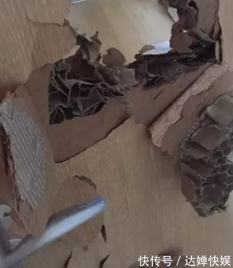 池女士|我扛过了买房的苦,却因为装修崩溃了……