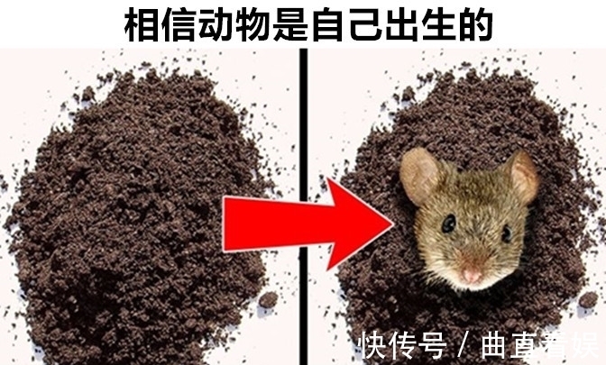 动物!在欧洲中世纪真实存在的,8件让现代人看起来很荒谬的事情