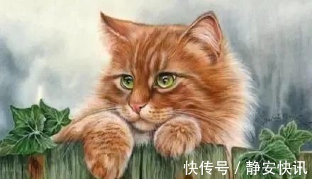 猫咪@美爆！一位美国人居然把水彩画出了国画的味道！膜拜，第一张就沦陷了