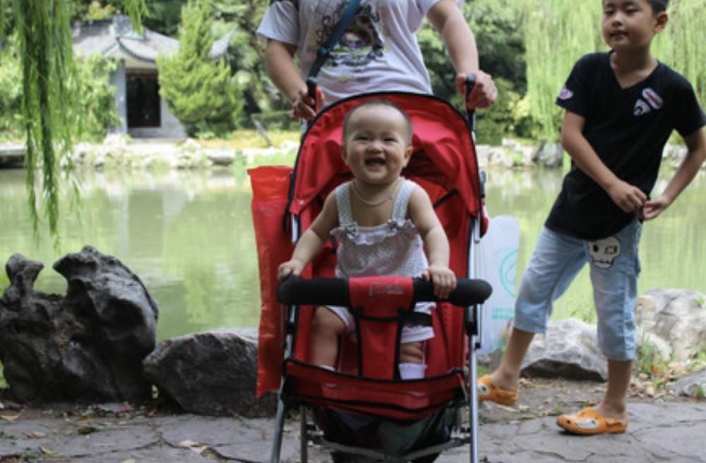 张凤|“聪明相”被科学证实存在,有这4个面相的孩子,长大智商低不了