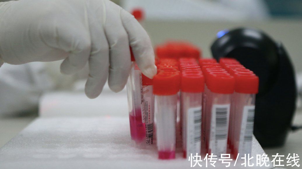 确诊|河北晋州市新增确诊病例1例,活动轨迹公布