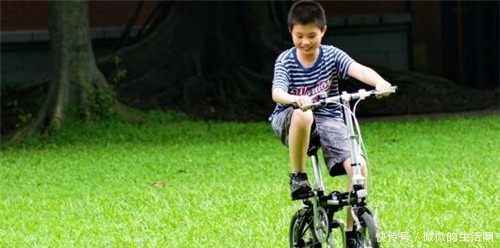 麒麟|俗语宁要麒麟子,不要化骨龙,啥意思老祖宗说给为人父母的话