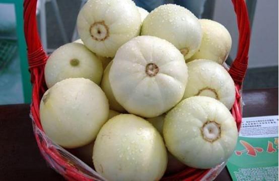 味道|去市场上买甜瓜,选“白皮”还是“青皮”?可惜还有很多人不知道