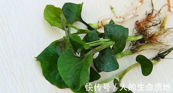 宿便|天然的“通便剂”,经常吃一点,排出黑臭宿便,远离便秘和痔疮