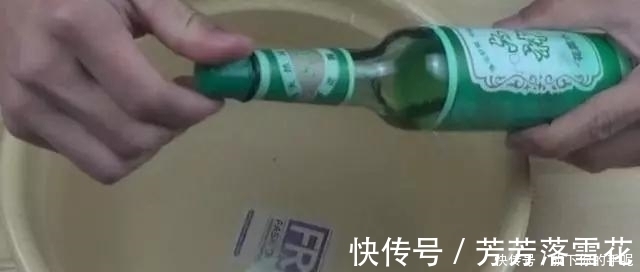 枕头睡久了螨虫成窝,教你一个小诀窍,大小螨虫一扫而光