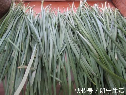 最鲜嫩多汁的饺子馅，原来是“它”做的！好多人不知道，快收藏！