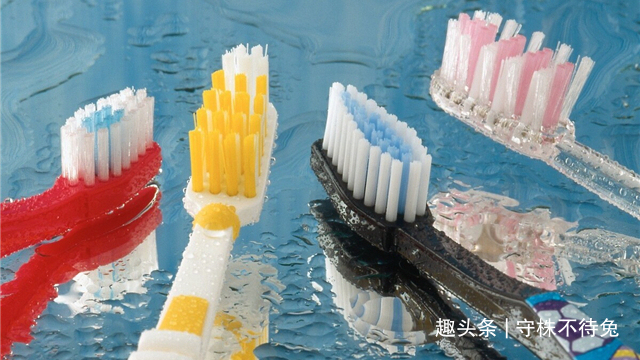 24个冷知识或许也曾知晓，但却没有深入了解的奇怪知识