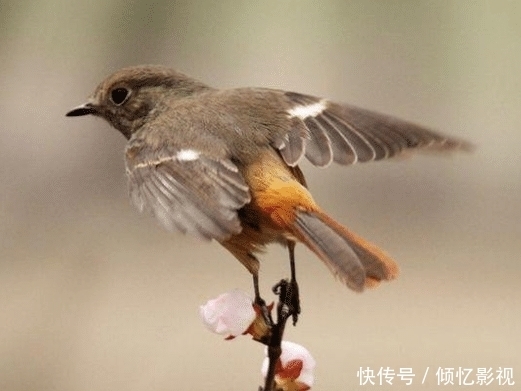 家长能做到这些,孩子不成才也难!