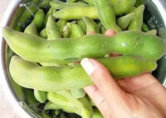 广西药植名录|农村才有的美味，是最廉价的天然肾宝，具有滋阴壮阳等攻效