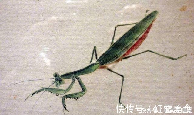 齐白石!把齐白石的草虫放大,这不是照片,这是白石老人的工笔草虫!