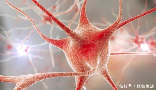 萃枫苷|痴呆测试图：别花时间想，你能几秒找出？用时1分钟的都有点危险