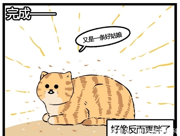 主人|搞笑漫画：梳完毛就像是变了一只猫，主人看到都不认识了！