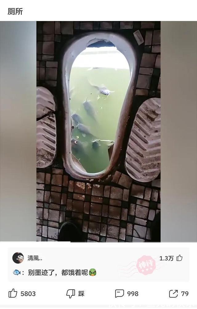 |神评段子合集:照片上有个熊猫就算了,居然还有个上发条的