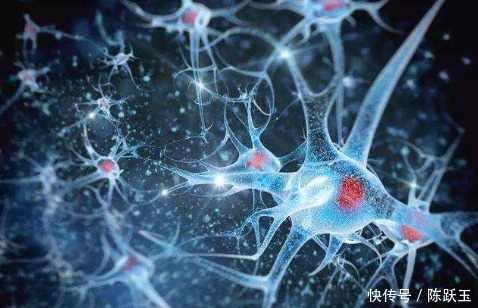  测试|老年痴呆程度测试：30秒观察图里多少个人？找出的越多大脑越健康