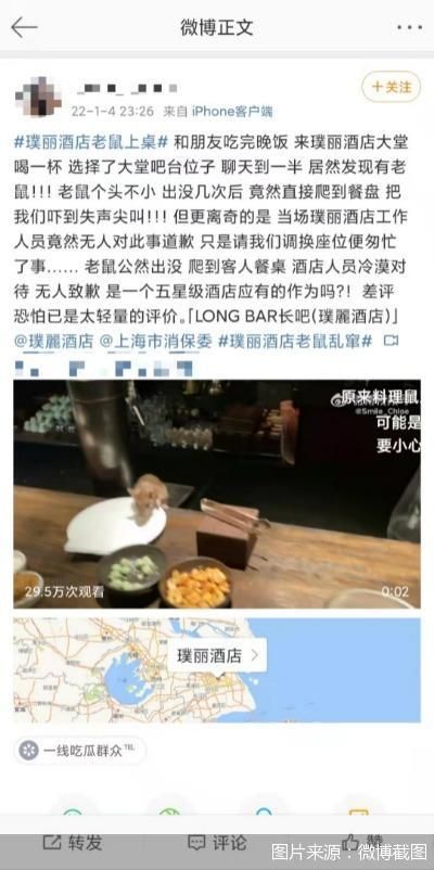 老鼠|上海一奢华酒店现老鼠上餐台 国际酒店管理漏洞如何堵