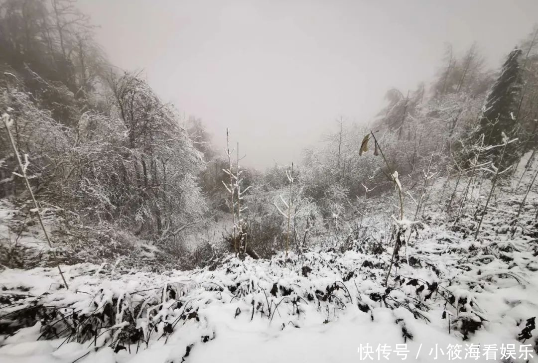 玩雪|绵阳最近的玩雪地，北川擂禹路“ 数千人”玩雪！