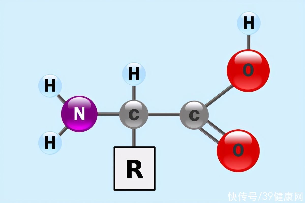 补形|以形补形，吃啥补啥，是中医的一场骗局？不一定！研究发现新证据