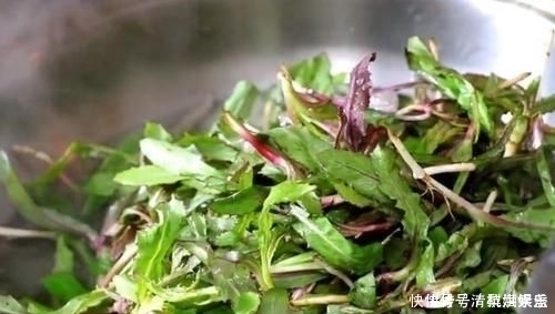 营养|入夏后黄瓜生菜靠边站,多吃它不用花一分钱,去火润喉,营养丰富