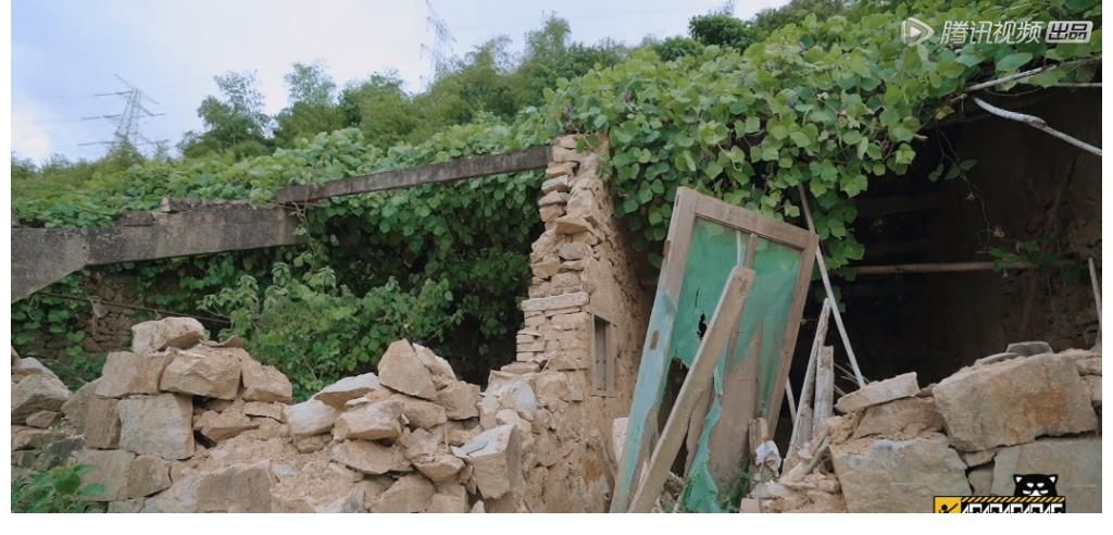 《五哈2》迎来最耿直“空降嘉宾”,可被好朋友彭昱畅“害苦”了